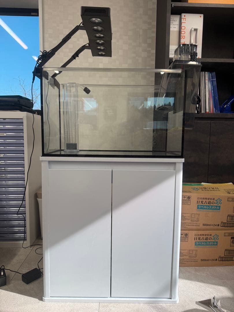 オーバーフロー水槽　ガラス水槽　60cm 海水魚