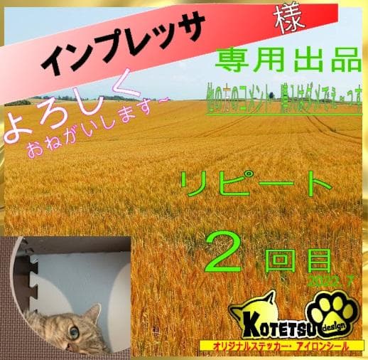 インプレッサさま　専用　リピ２回目　カッティングステッカー