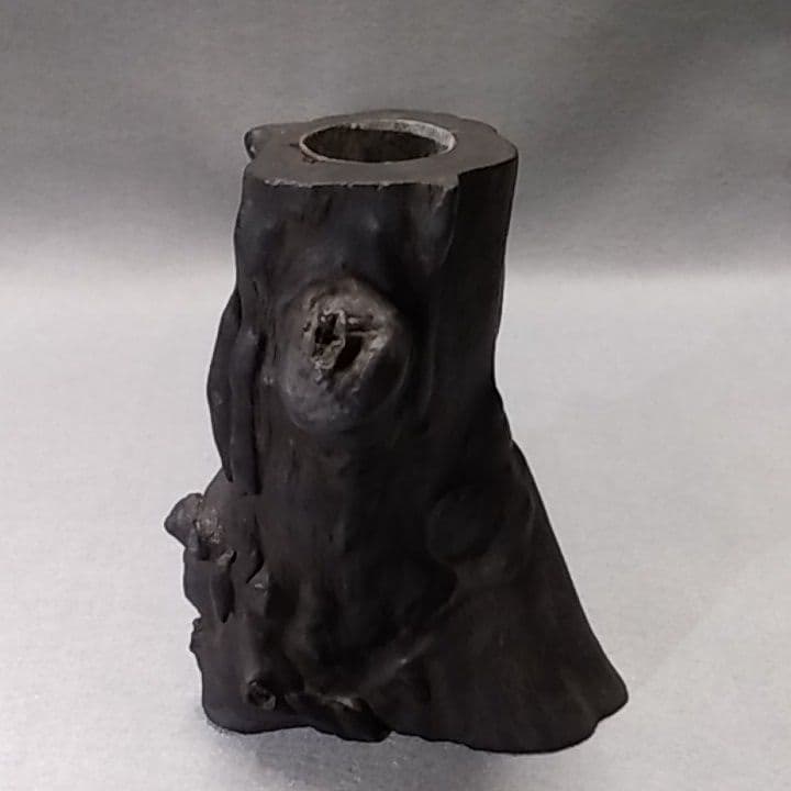 海松　深海松　黒珊瑚