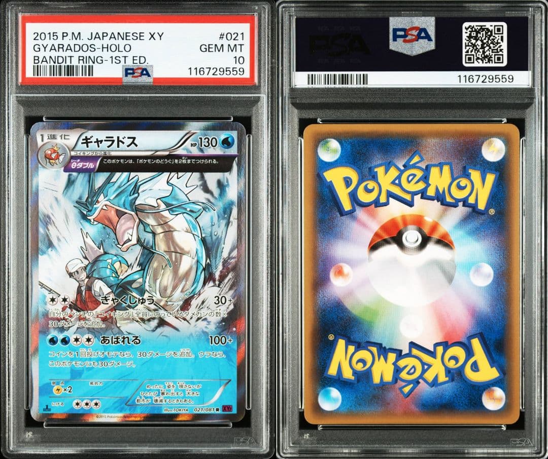 ギャラドス 021 バンデットリング　xy7 psa10 最新ケース