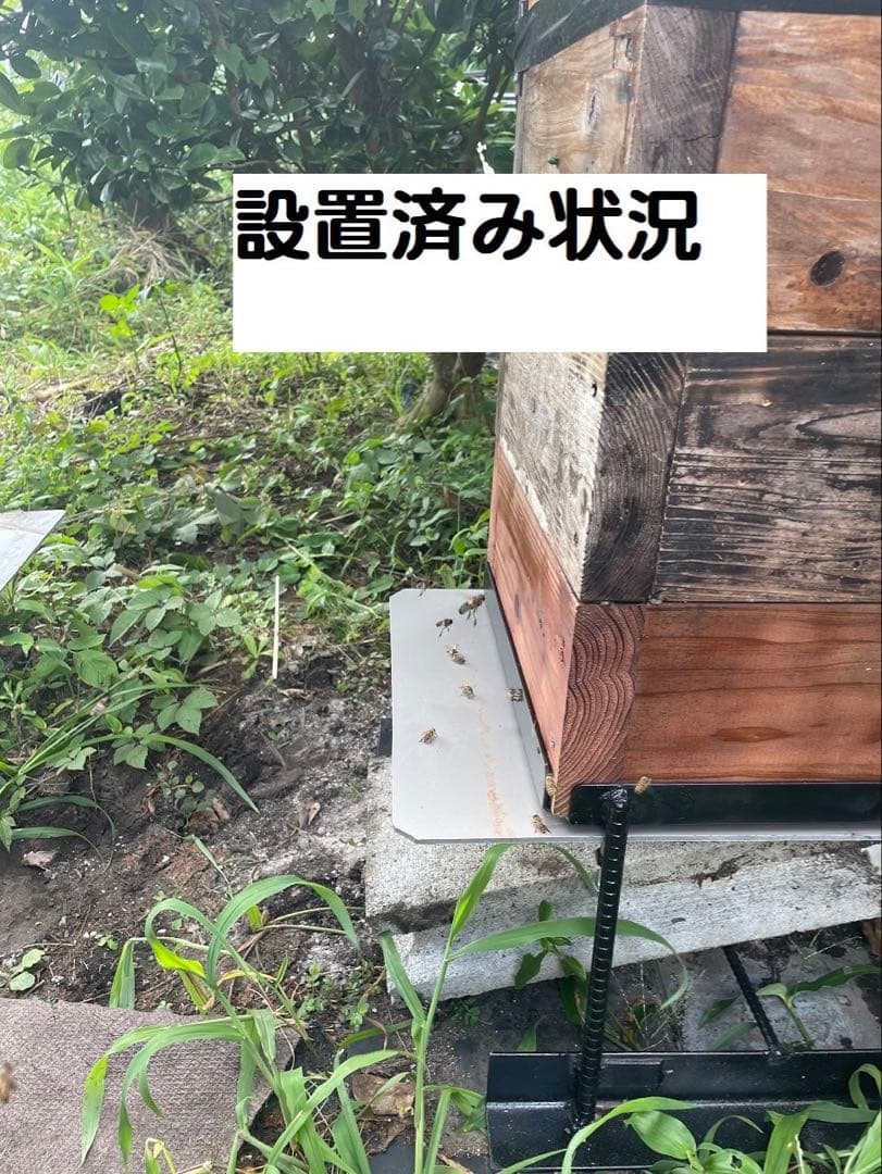 日本蜜蜂　巣箱台30cm（黒）