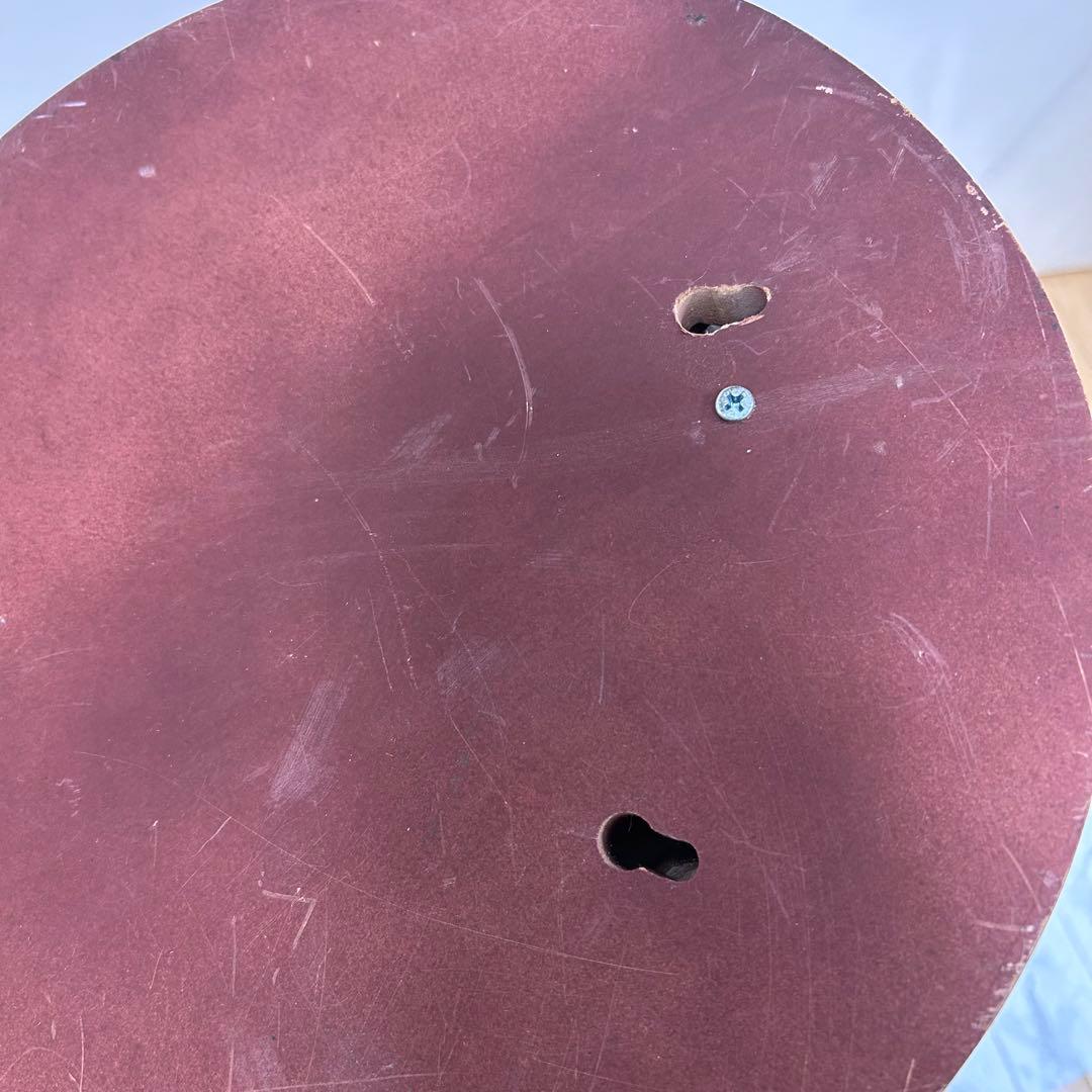 T-rex ティラノサウルス　立体壁掛け　オブジェ　恐竜　リアル