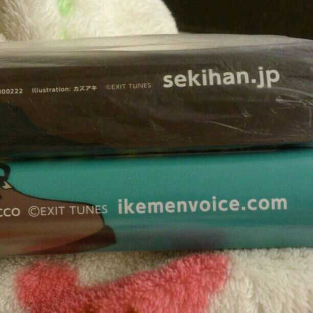 VOCALOID 歌い手 ポスター