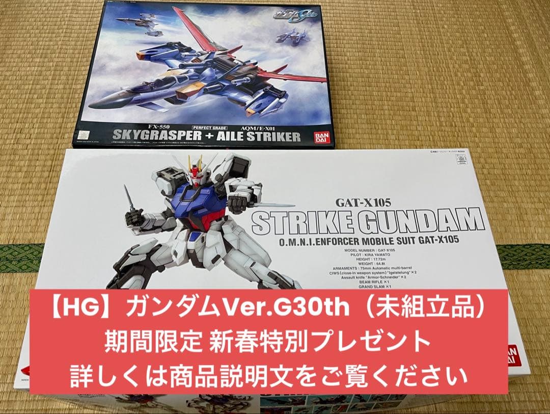 【PG】ストライクガンダム＋【PG】スカイグラスパー＋オマケガンプラ（未組立品)