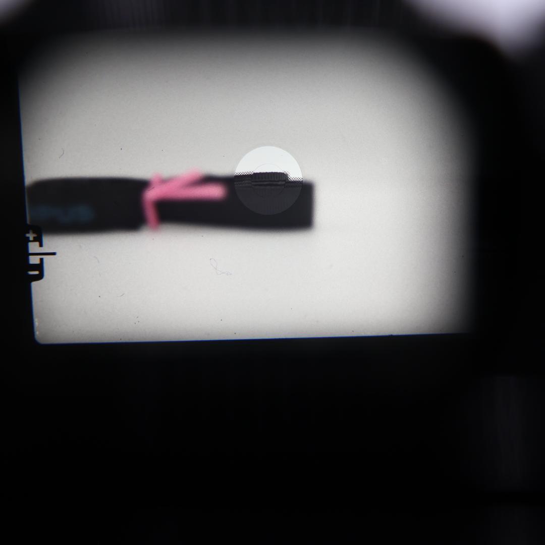 ✨OLYMPUS OM-1 50mm F1.8✨