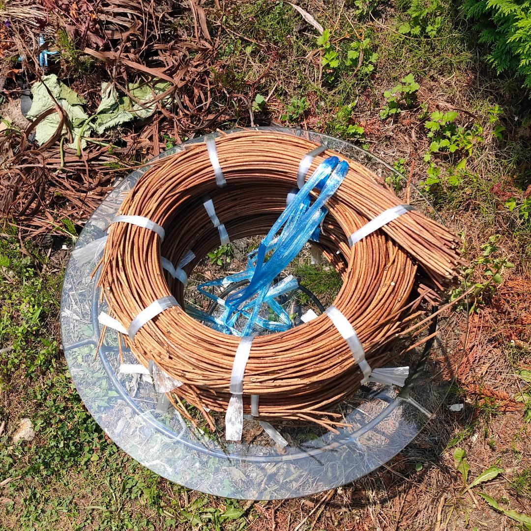 (委託品)青森県岩木山採取　あけび蔓　150cm～　3.2kg