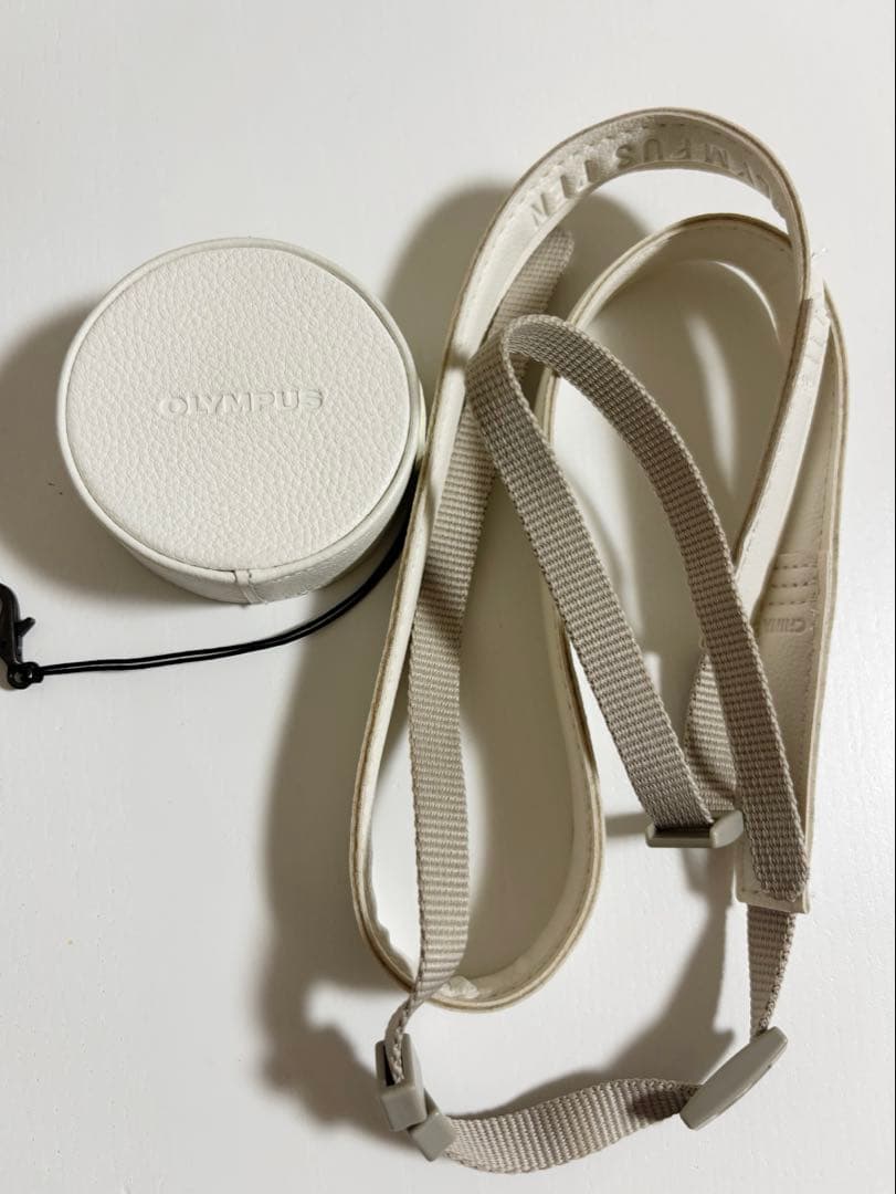 オリンパスペン OLYMPUS PEN E-PL8