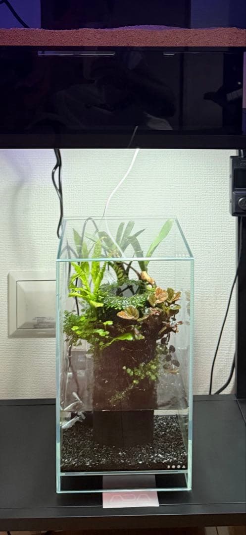 ADA DOOA ネオグラスエア/テラベース フルセット