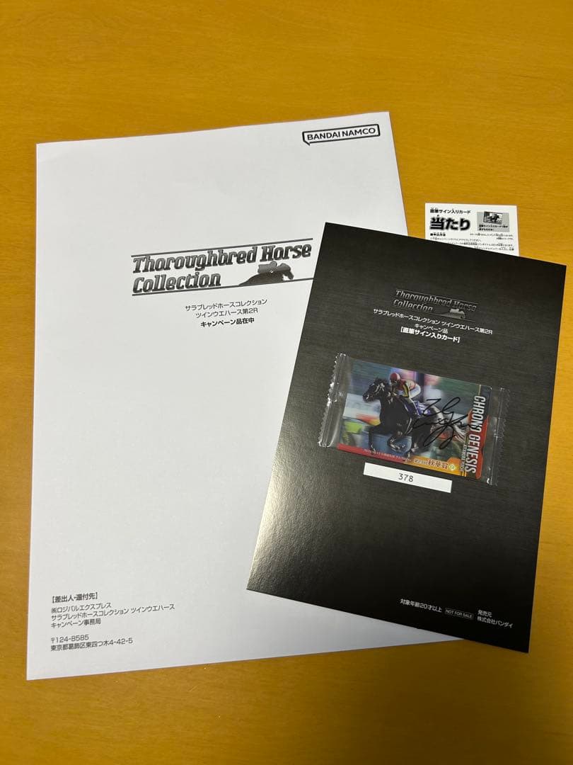 最終値下げ　サラブレッドホースコレクション