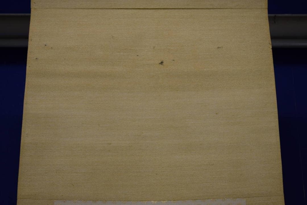 真作/（画）白雲/（賛）関精拙/菊花画賛/桐共箱付/布袋屋掛軸HH-311