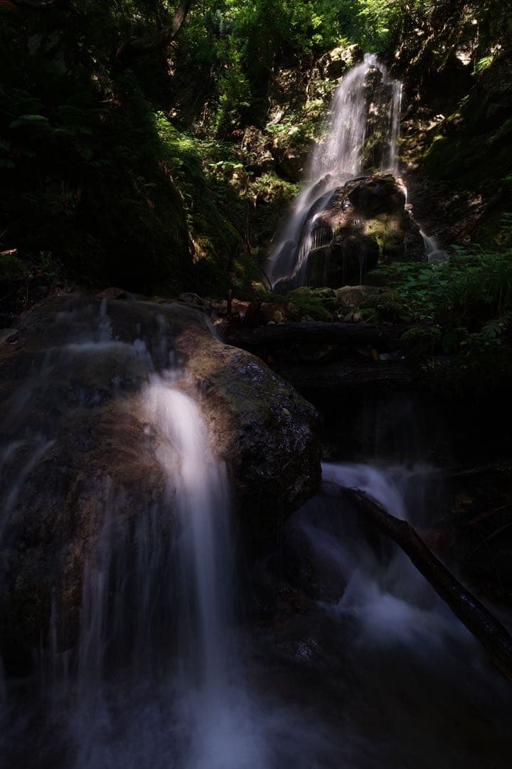 作例付き　TOKINA FiRIN 20mm F2 MF Eマウント　管mpr