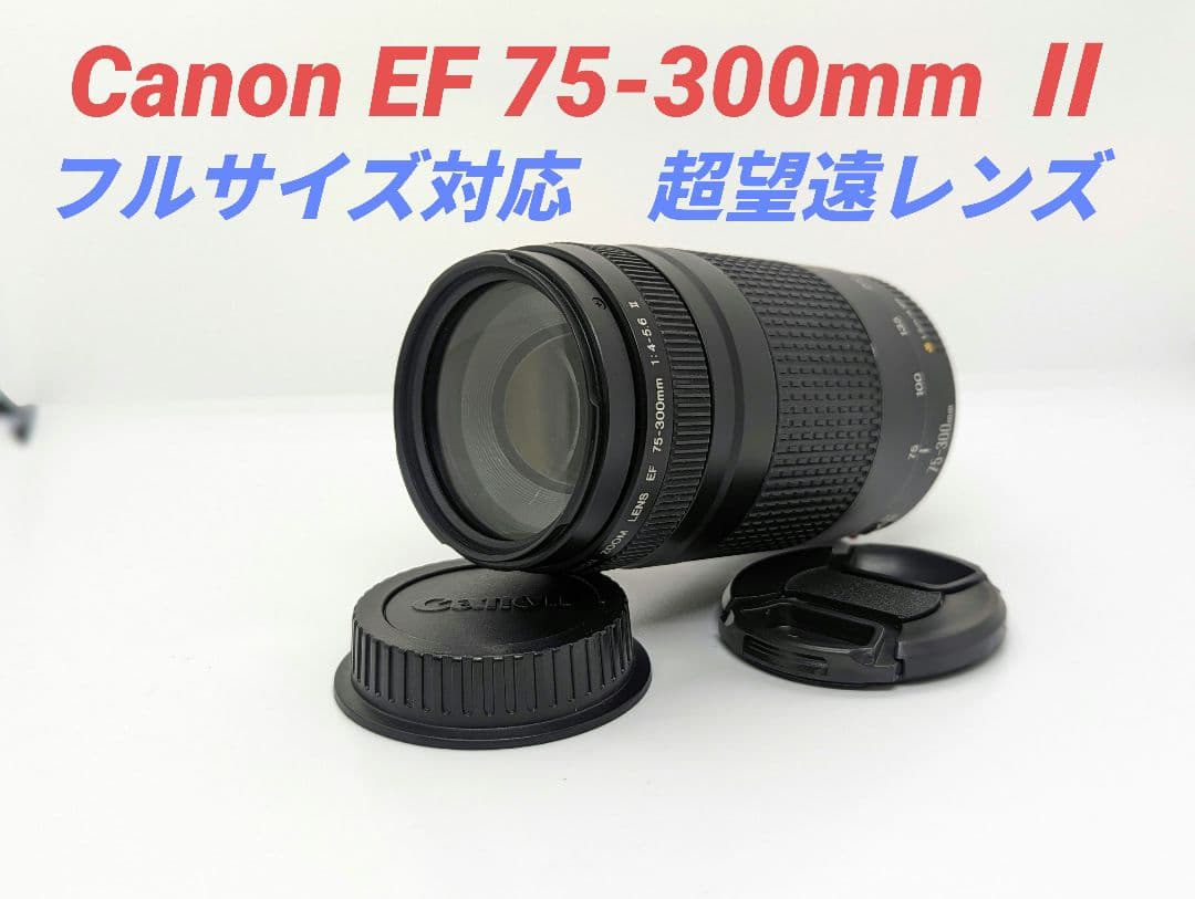 8月13日限定♪【超望遠レンズ】Canon EF 75-300mm Ⅱ