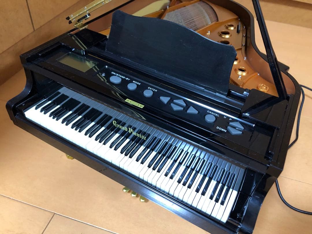 カッパGrand Piano 88鍵 ブラック　セガトイズ