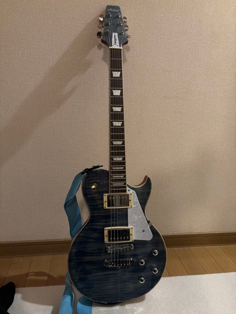 Aria Pro II Evergreen エレキギター