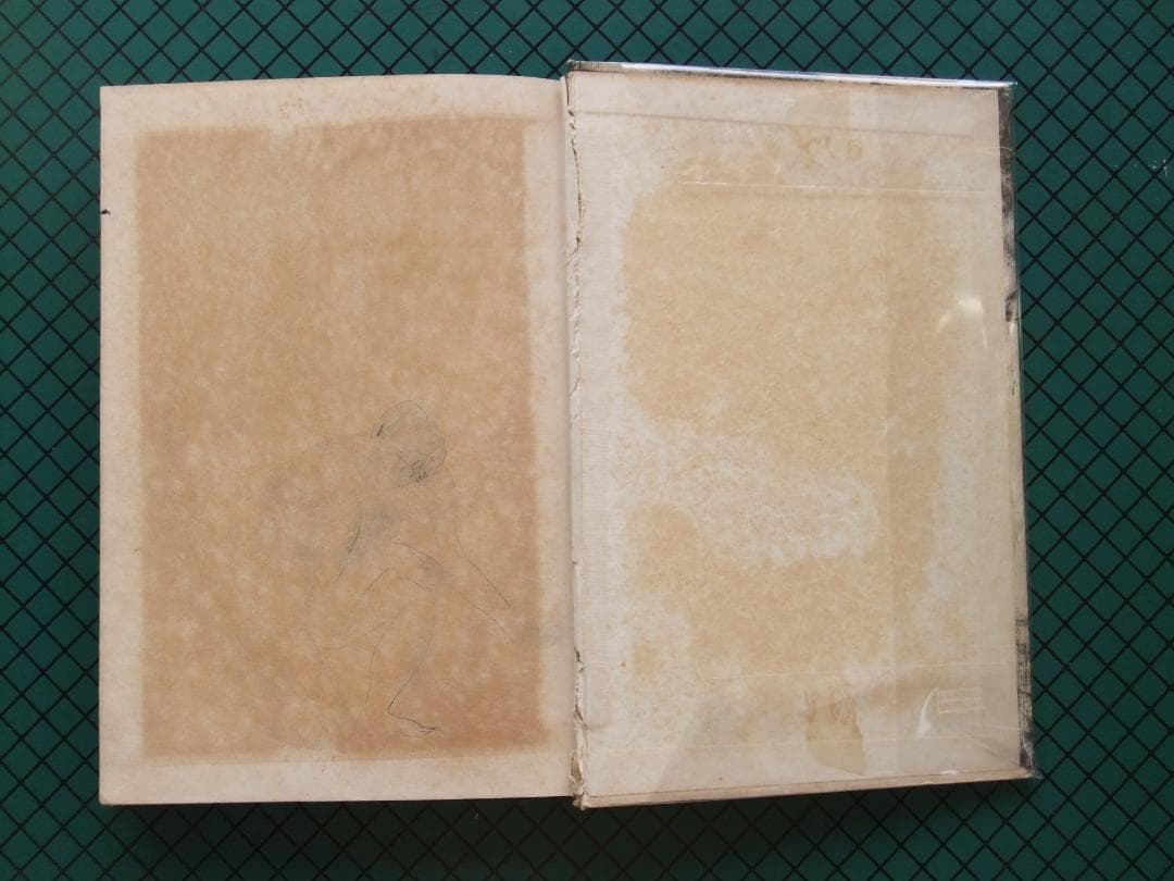 横光利一　「機械」　初版本・昭和６年・白水社・函・佐野繁次郎装