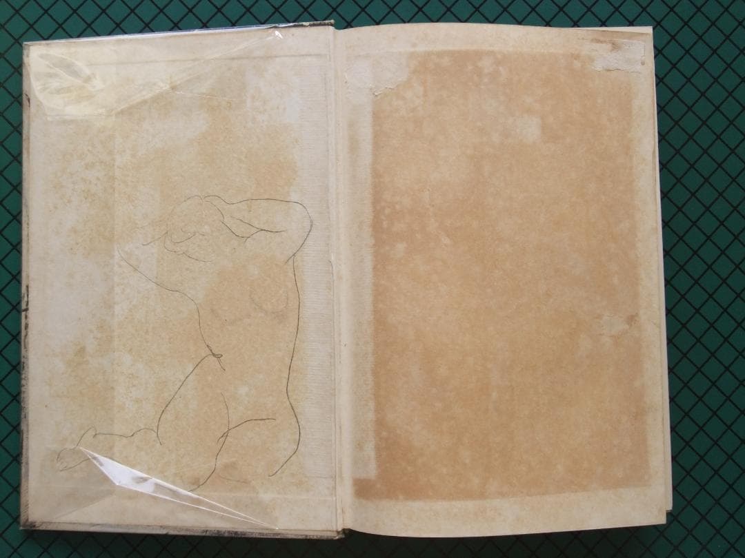 横光利一　「機械」　初版本・昭和６年・白水社・函・佐野繁次郎装