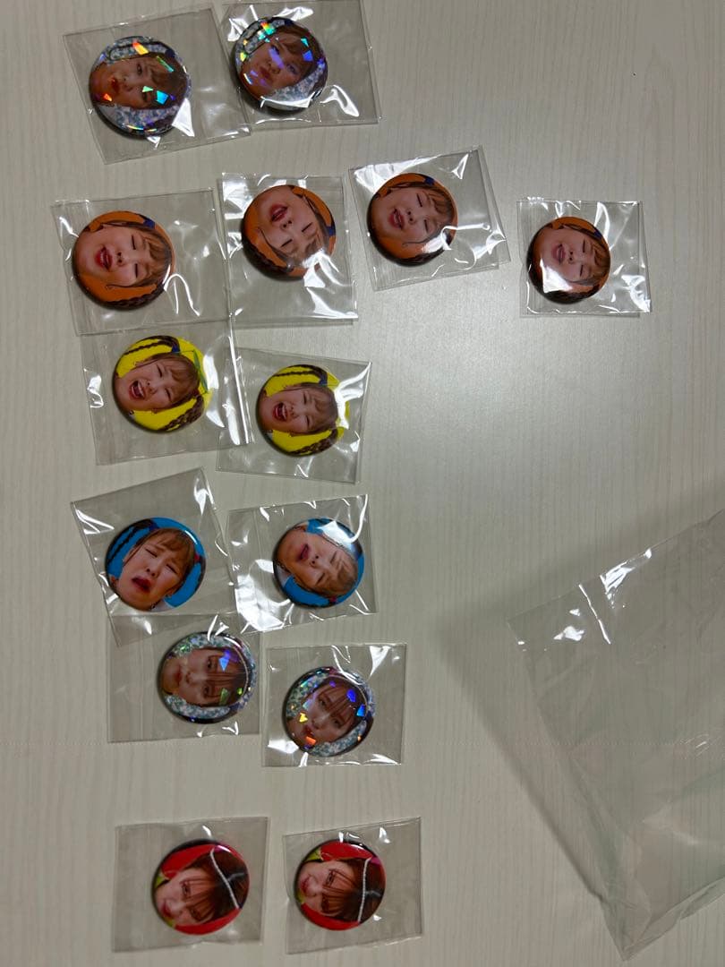 平成フラミンゴ 缶バッチ