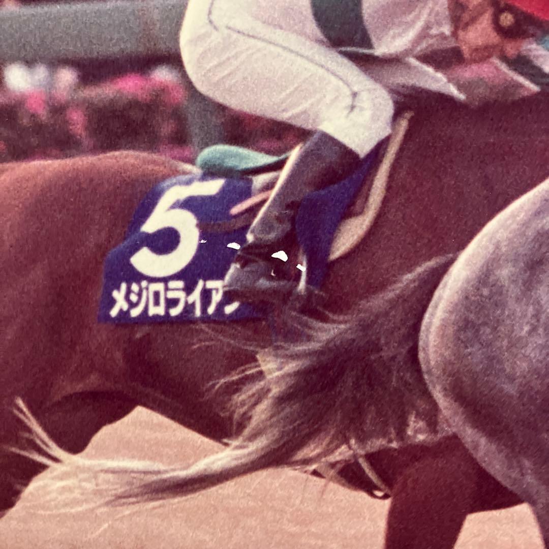 ★オグリキャップ★優勝パネル　有馬記念　ラストレース