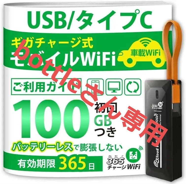 モバイルWiFi 100GB初回 USB/タイプC