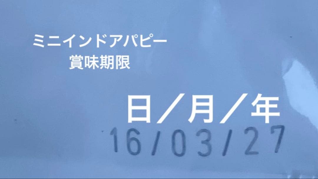 ロイヤルカナン　ミニインドアパピー　10kg
