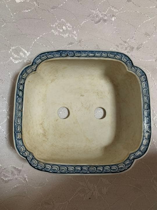 春花彩　盆栽鉢