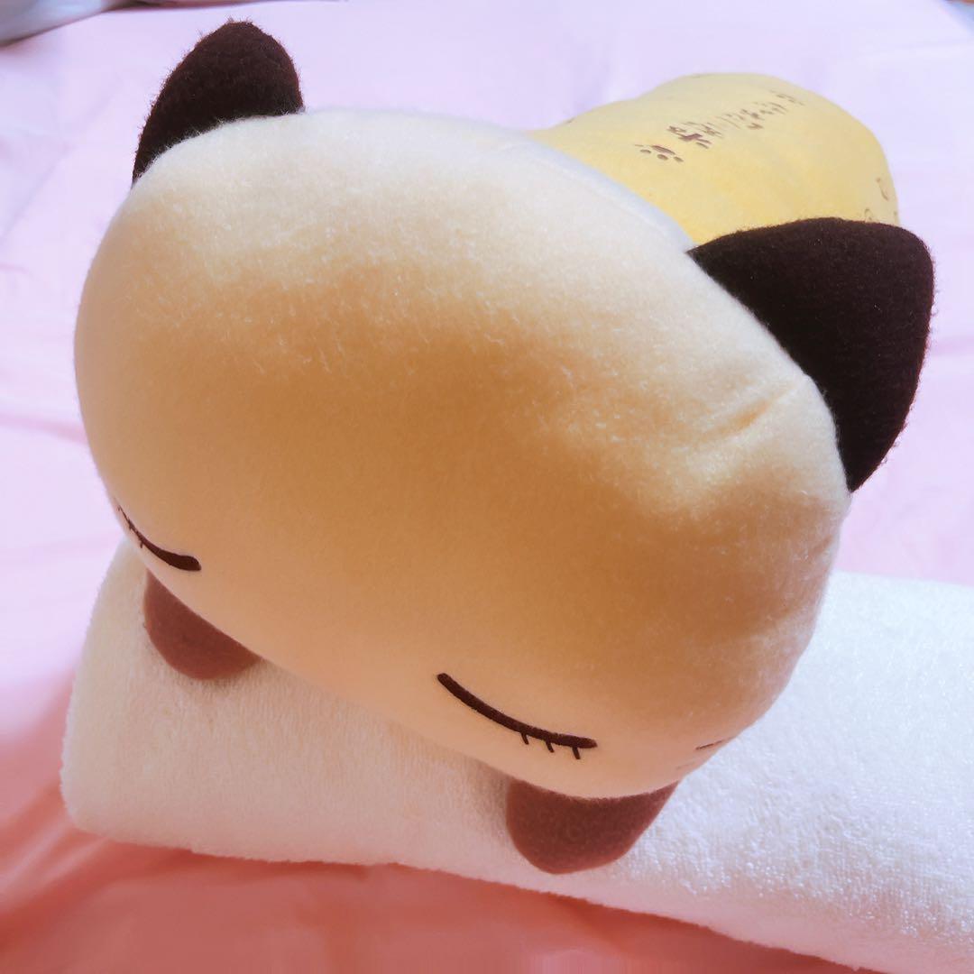 希少レア　ねむっこにゃーご　サンリオ　イラスト　クッション　ねこ　平成レトロ