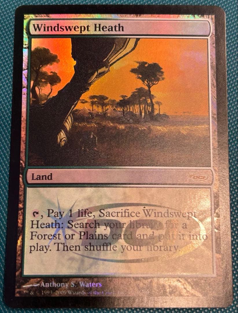 【ジャッジFoil】《吹きさらしの荒野/Windswept Heath》英語