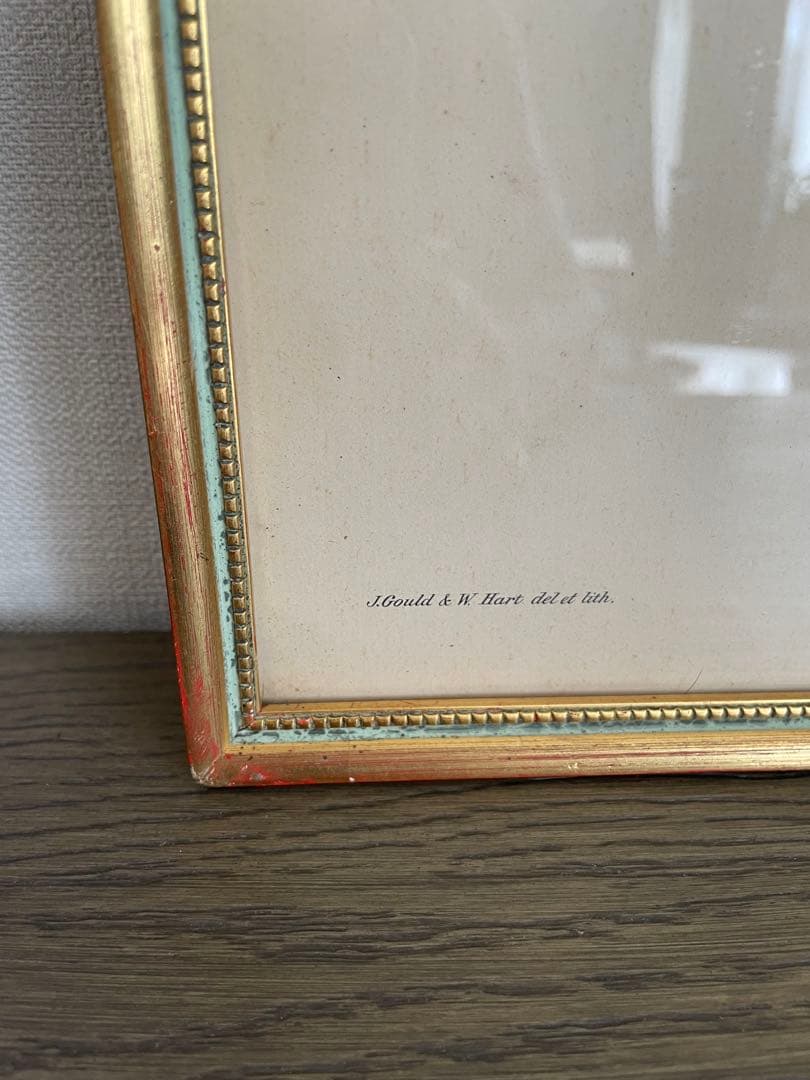 アンティーク　フレーム 鳥の絵画　リトグラフ