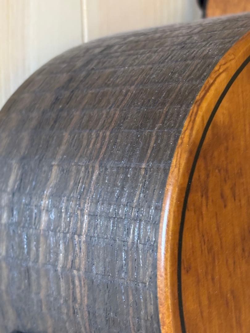 ギター LAG sauvage-ace