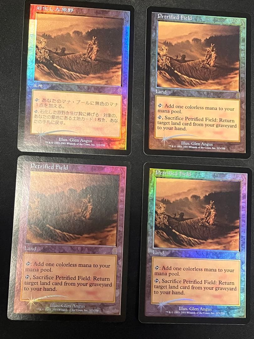 MTG【石化した原野/Petrified Field】foil ODY