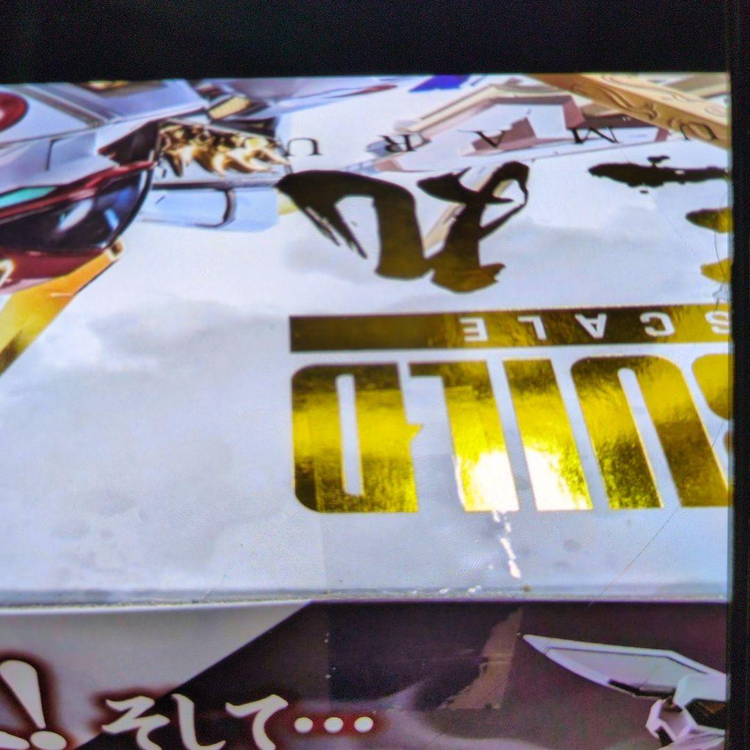 メタルビルド。ドラゴンスケール.龍王丸。