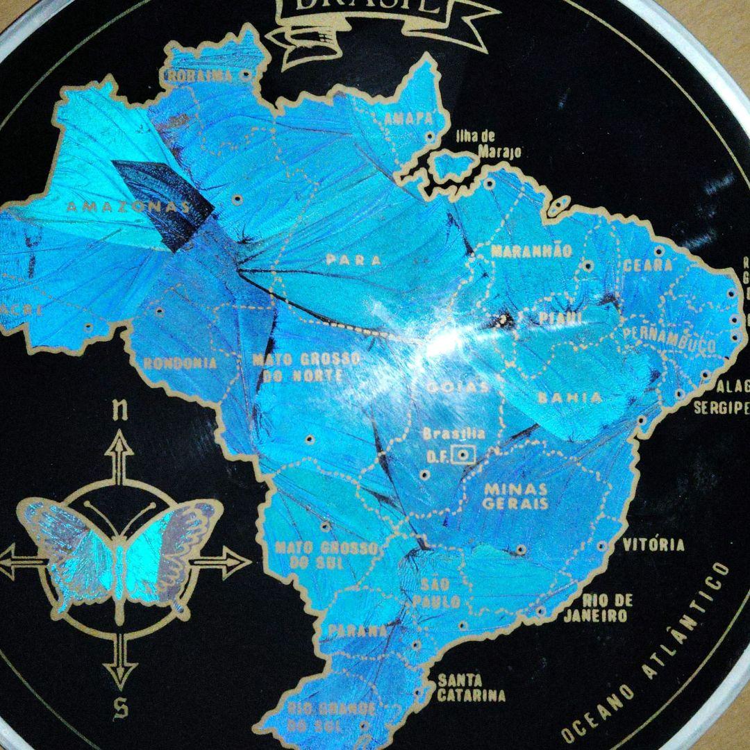 年末セール！　ブラジルの国旗のモルフォ蝶の飾り皿 お見上げ 翅細工