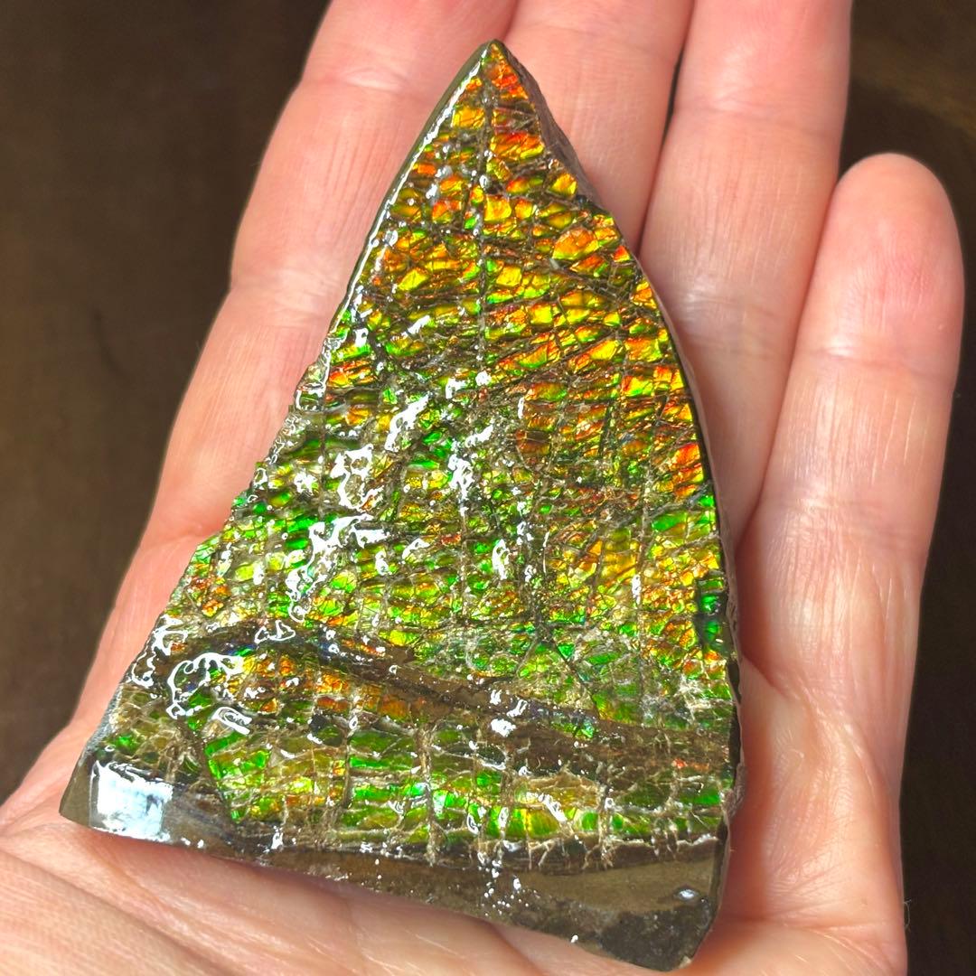 カナダ産 アンモライトドラゴンスキン 樹脂スタビライズ加工 天然宝石 化石 標本