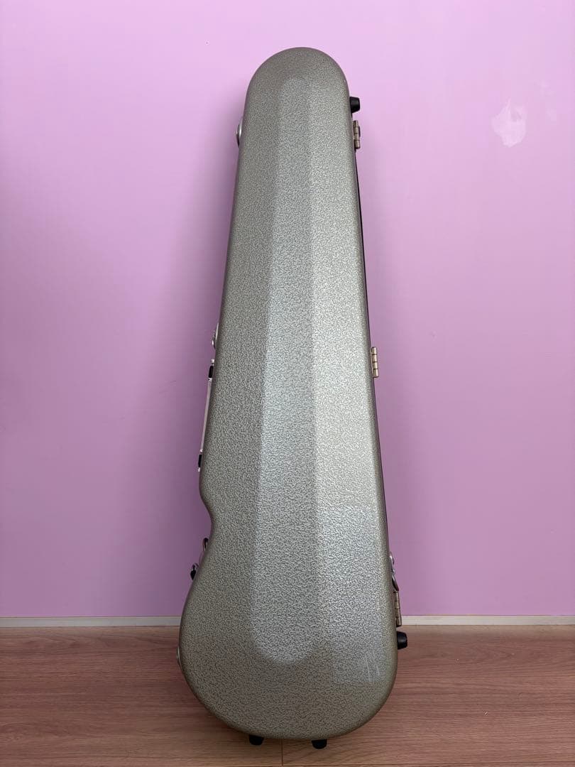 Andreas Eastman バイオリンケース　4/4サイズ