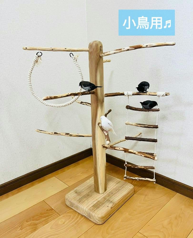 【小鳥用】ブランコ＆ハシゴ付　♬螺旋状 バードアスレチック