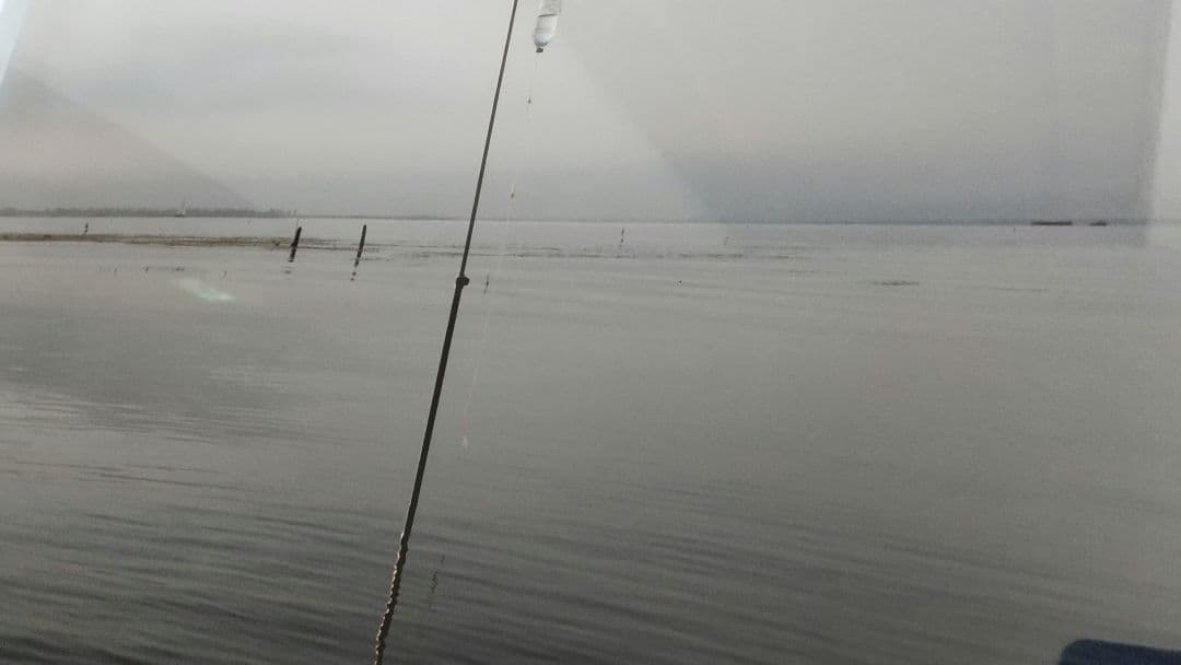 直筆サイン　かなり希少　lisa inoue　 カラープリント写真 本物