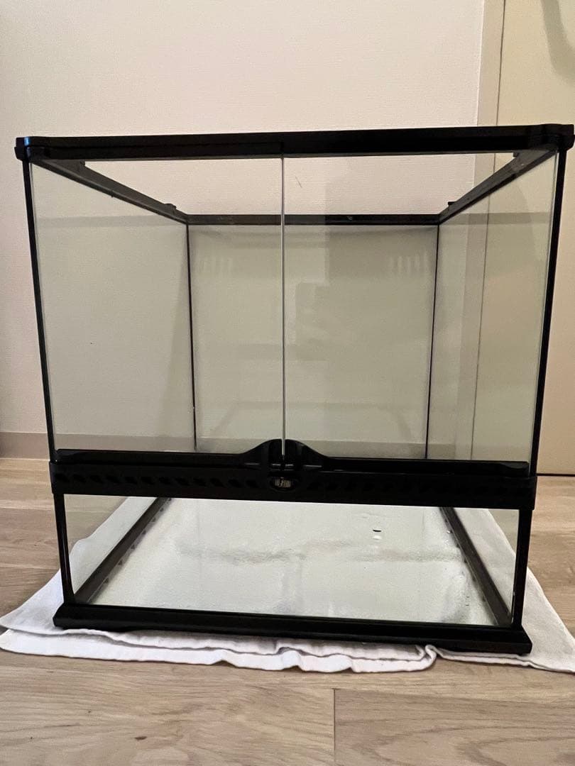 グラステラリウム4545