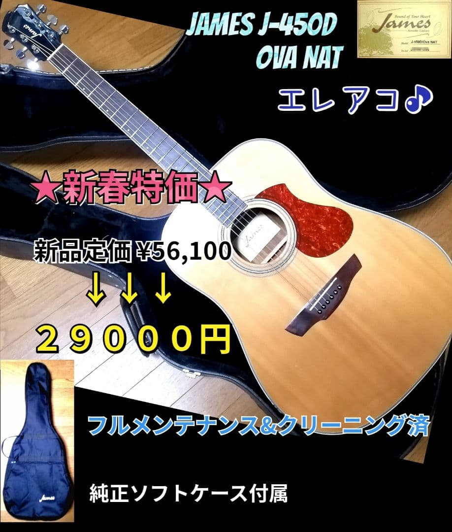 ★エレアコ★James J-450D Ova NAT★新品定価¥56,100
