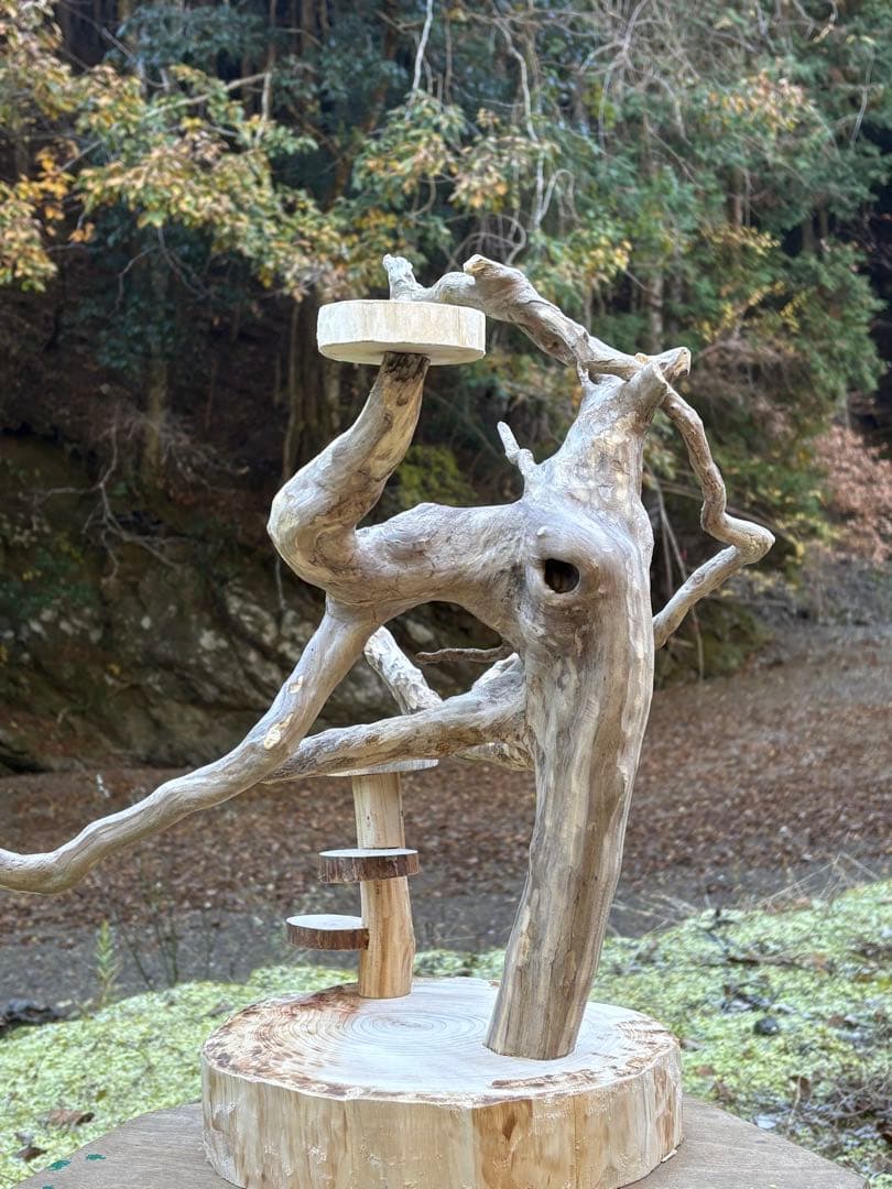 ハンドメイド　バードアスレチック　バードジム