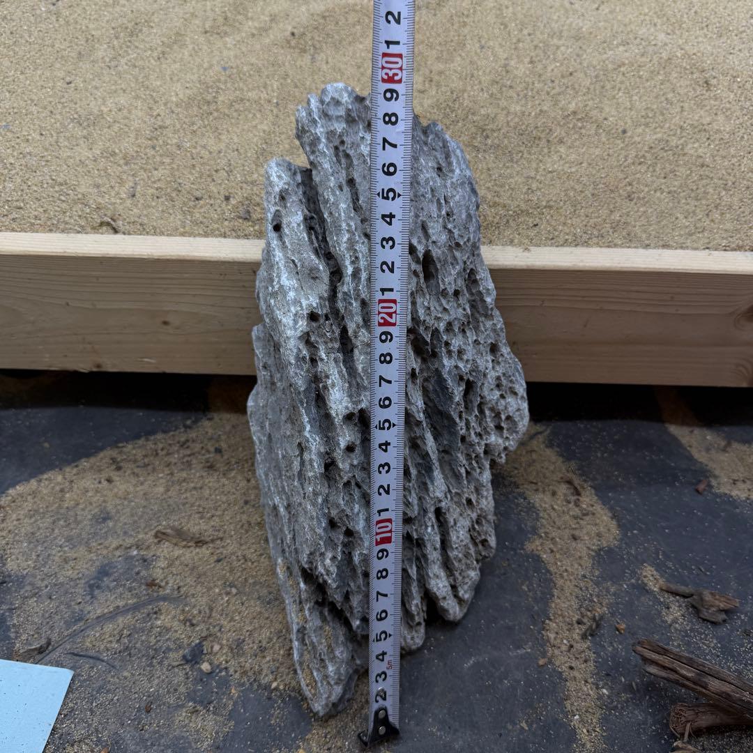 きら　MSS-6874 セレクト品青龍石31cm親石　龍王石　竜王石