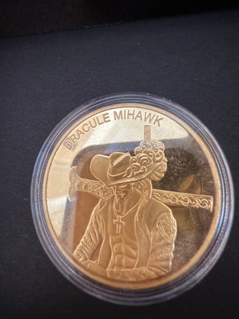 【値下げ】 ［シリアルナンバー入り］ワンピース、ミホーク　ガレージキット