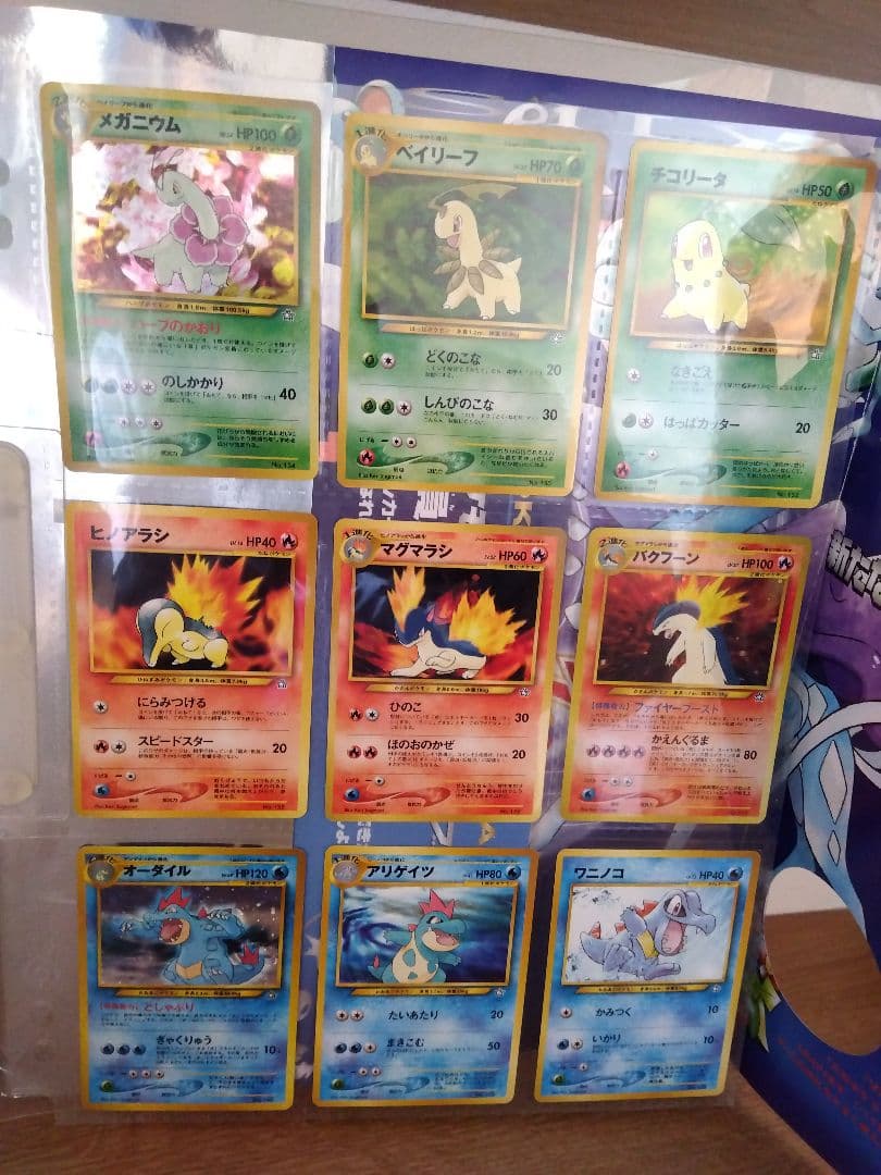 ポケモンカード neo バインダー ファイルの旧裏カード