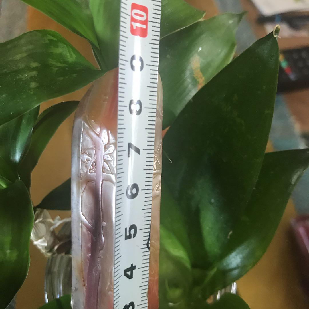 中国文房四宝　寿山石　印材