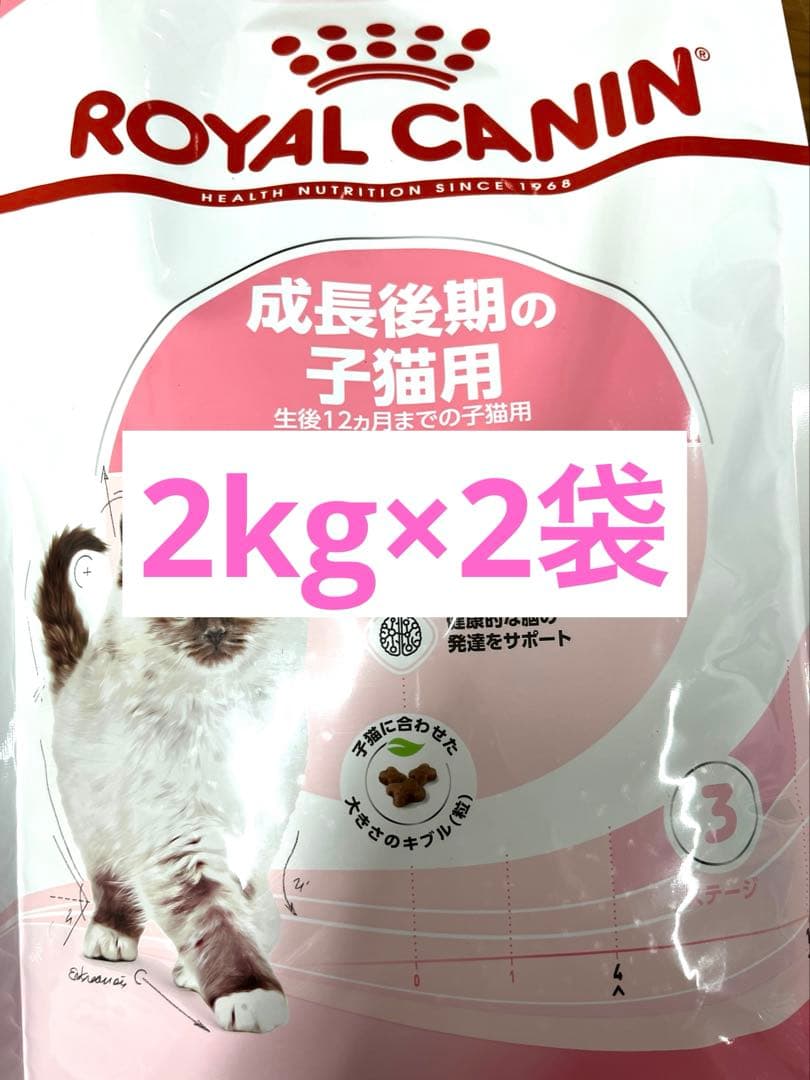 ロイヤルカナン キトン　成長後期の子猫用2kg×2袋