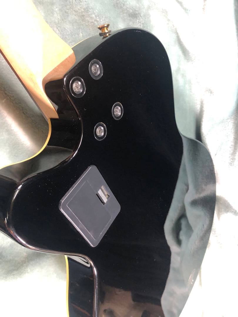 M*9様 ヤマハ　AEX500N エレガット