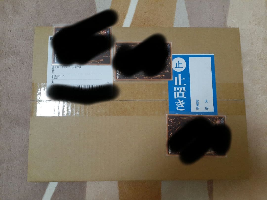 カオスソルジャー　プリシク