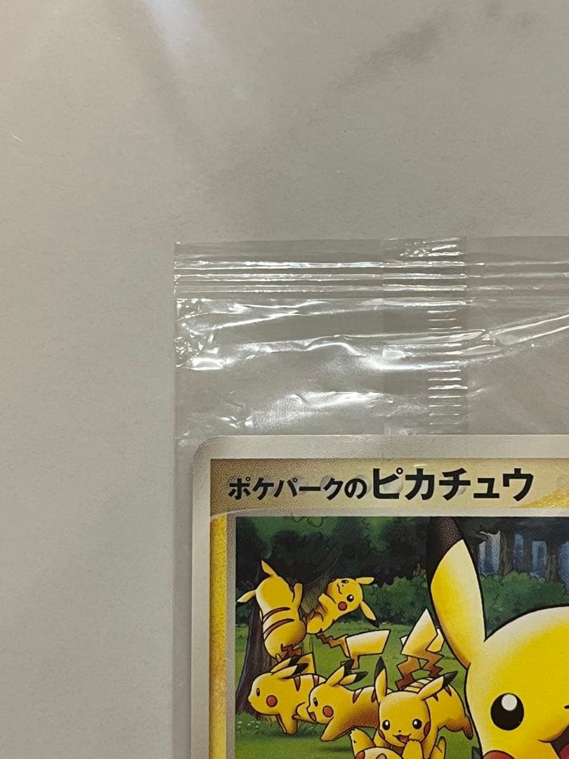【爆アド・最安値】 ポケパークのピカチュウ　未開封