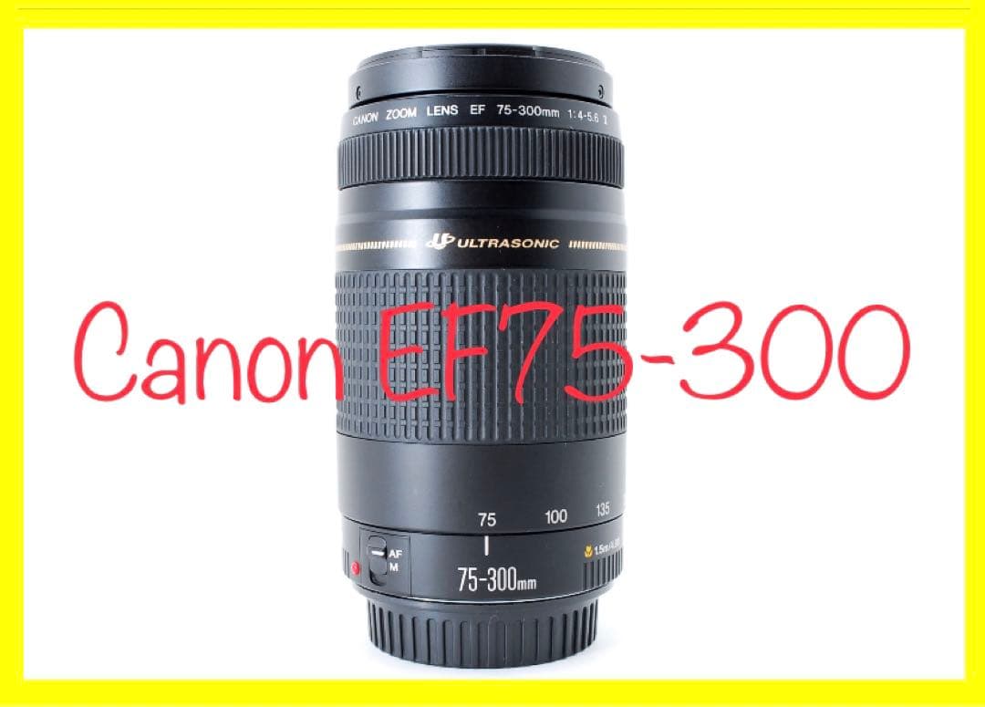 キヤノン☆望遠レンズ☆Canon EF 75-300㎜ F4-5.6 USM