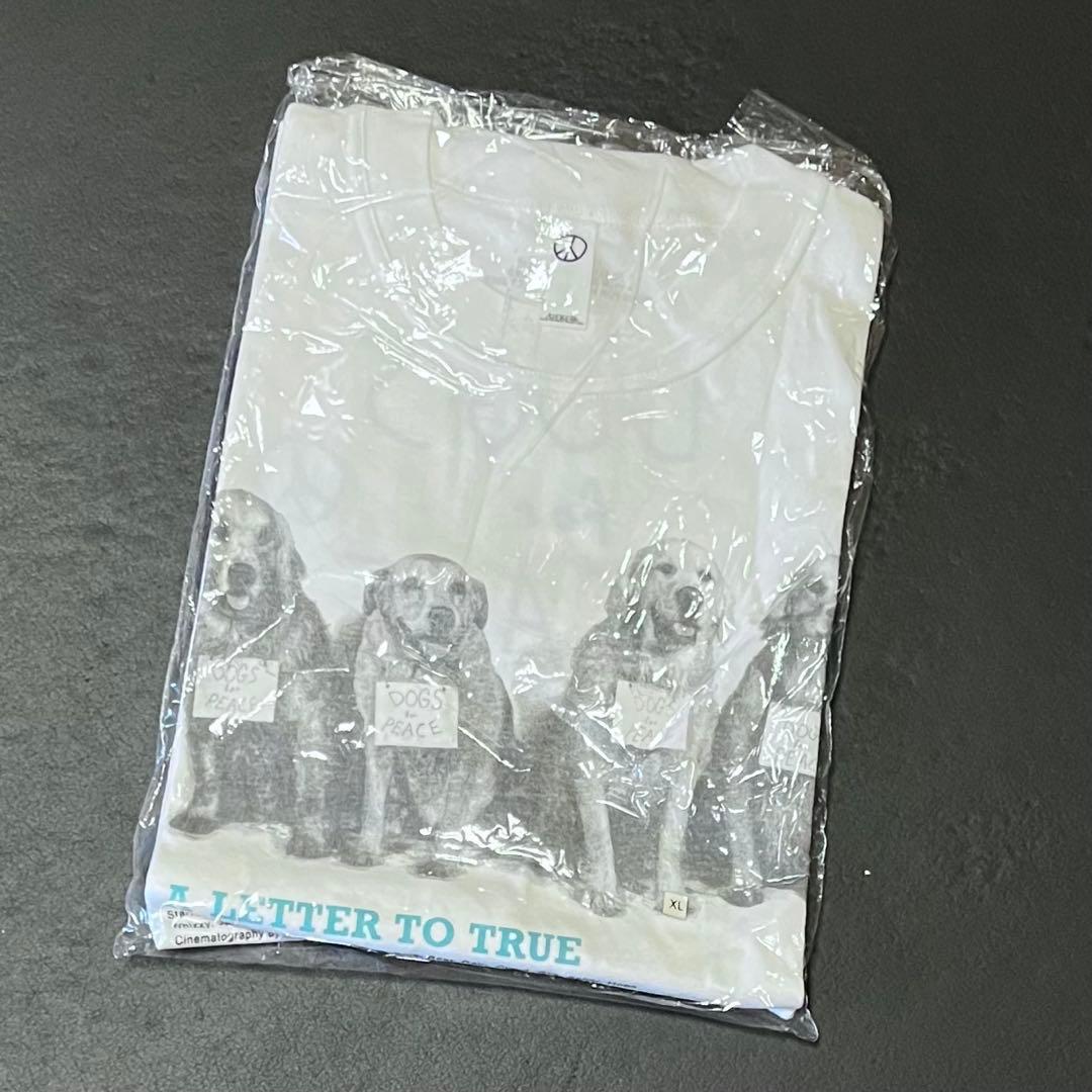 ブルースウェーバー Tシャツ Bruce Weber