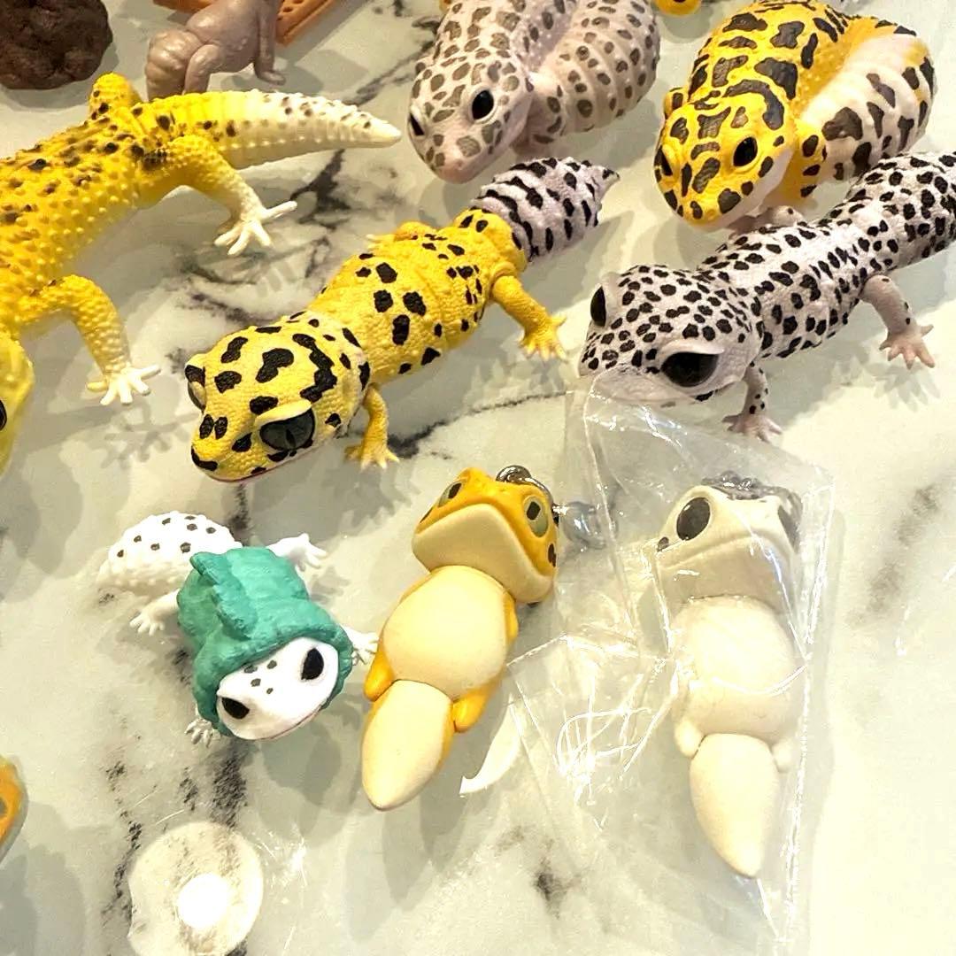 ヒョウモントカゲモドキ レオパ 爬虫類 いきもの大図鑑 ガチャ 食玩 フィギュア